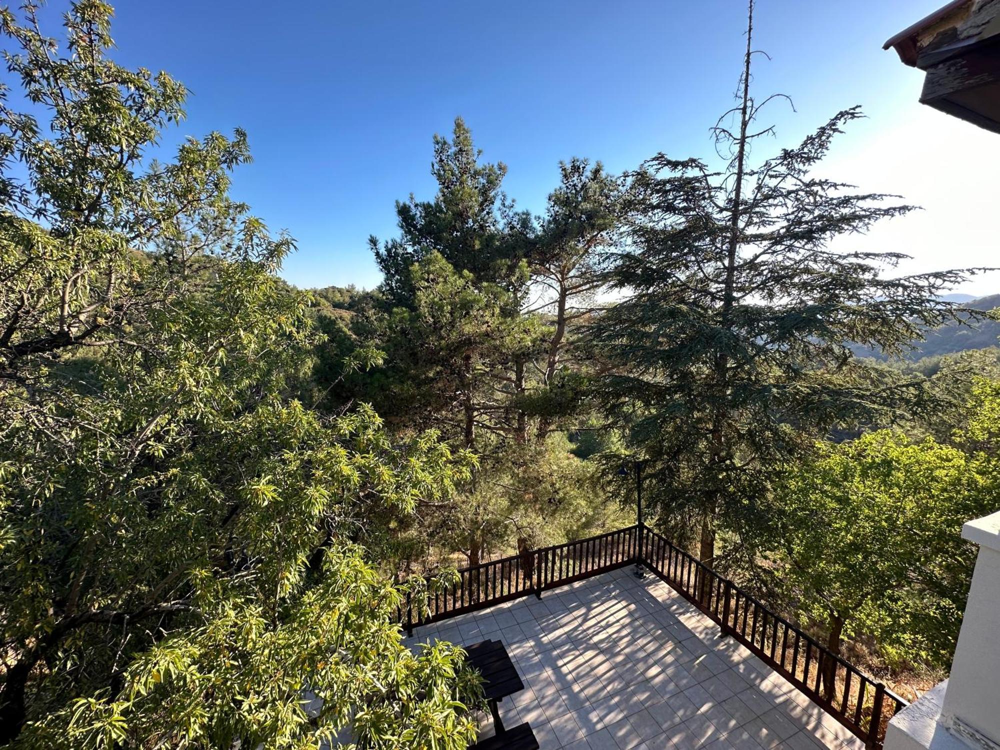 Forest Park Villa Lemithou Exterior photo